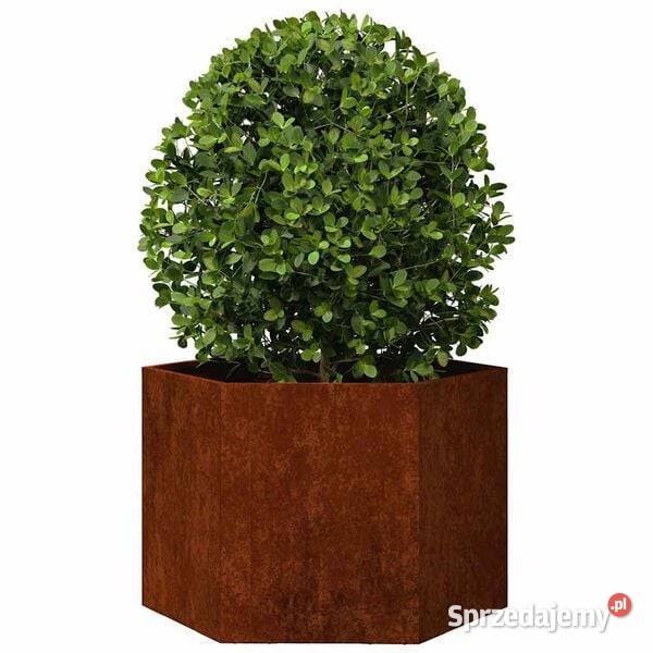 vidaXL Donica rdzawa 60x60x45 stal Warszawa