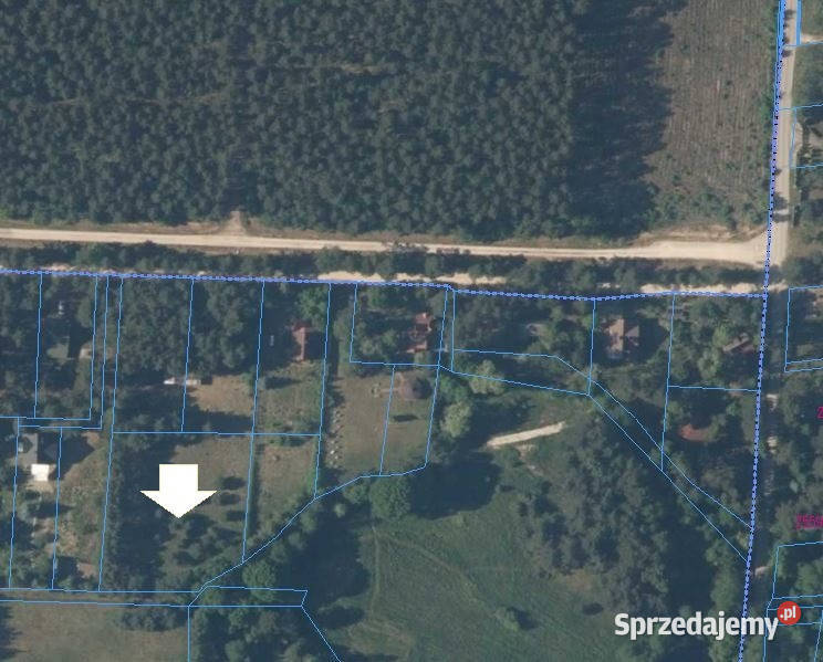 Działka w lesie sprzedam