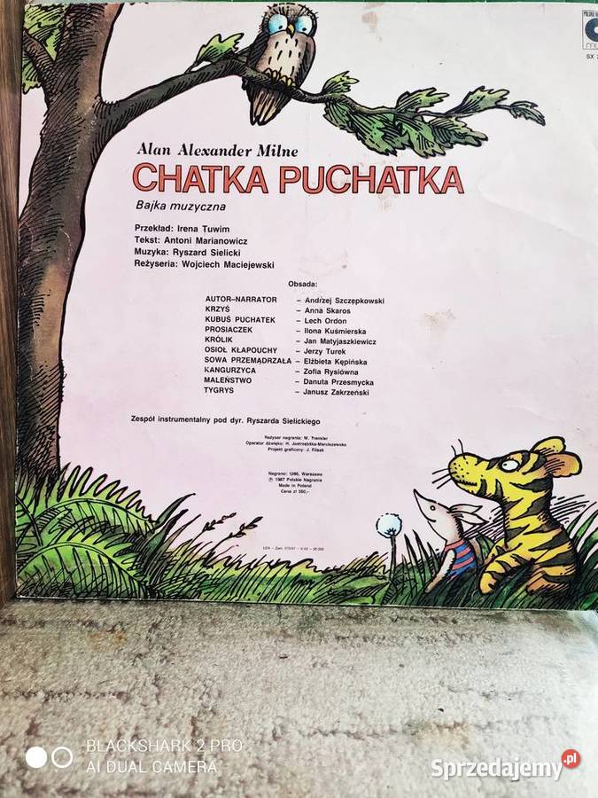Miś świata Chatka Puchatka na taśmie zachodniopomorskie