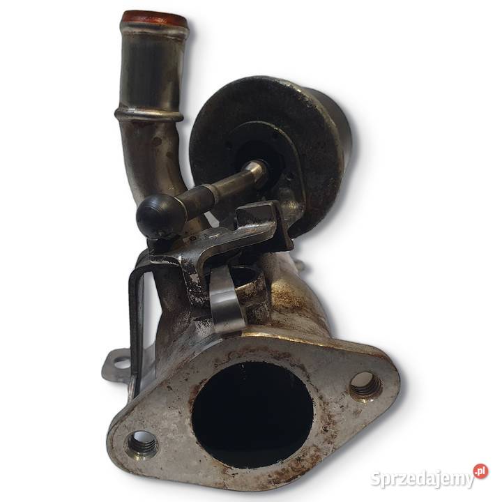 CHŁODNICA SPALIN VW Passat B6 20 TDI 03L131512B lubelskie Chełm