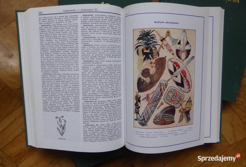 Encyklopedia Powszechna Wydawnictwa Gutenberga 4 Głuchołazy