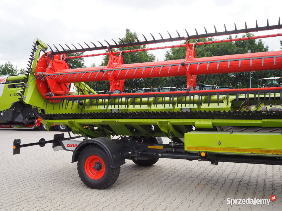 Claas Convio Flex 930 Heder do zboża rzepaku Stęszew