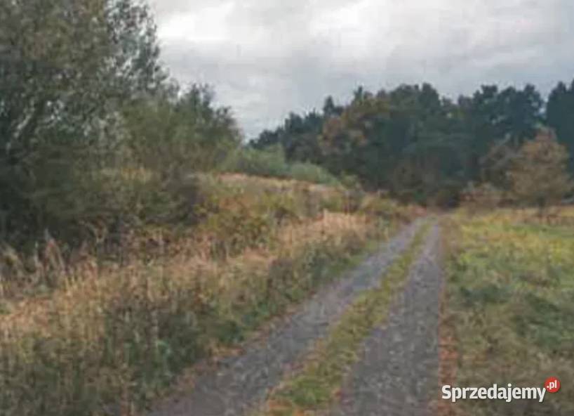 Syndyk sprzeda udział 34 nieruchomości Sprzedaż sprzedam