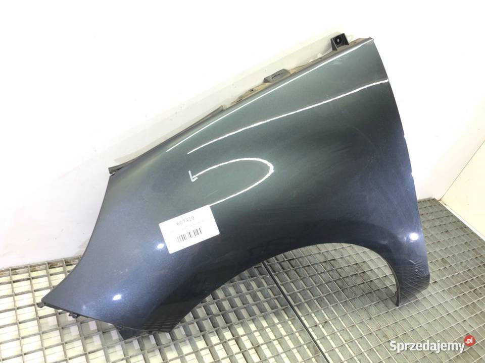 BŁOTNIK LEWY PRZÓD RENAULT SCENIC III Minivan