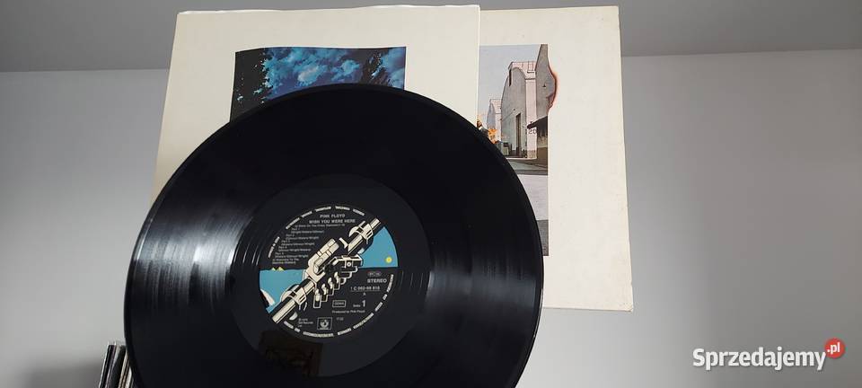 Płyty winylowe Pink Floyd Kultura i Rozrywka