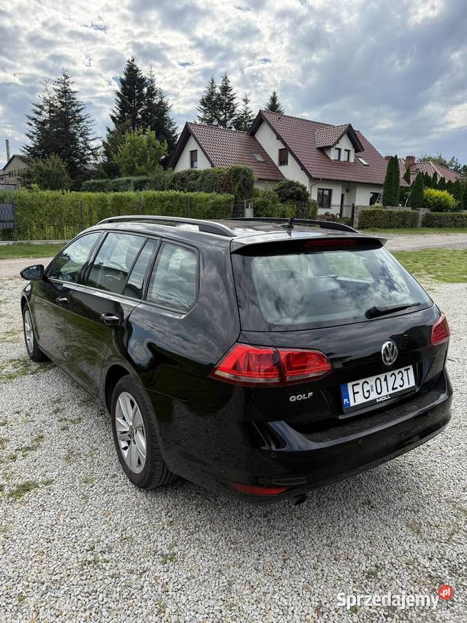 Vw Golf 2016 bezwypadkowy