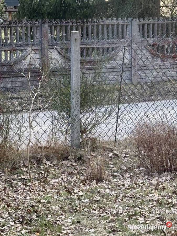 Słupki betonowe Siatka ogrodzeniowa Słupki Wąglany