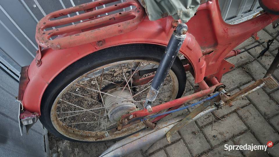 Komar zarejestrowany