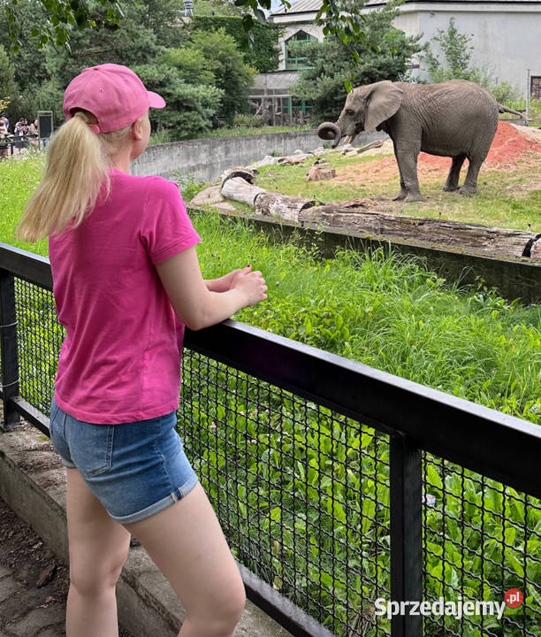 Krótkie szorty Calvin Klein Jeans rozmiar W28