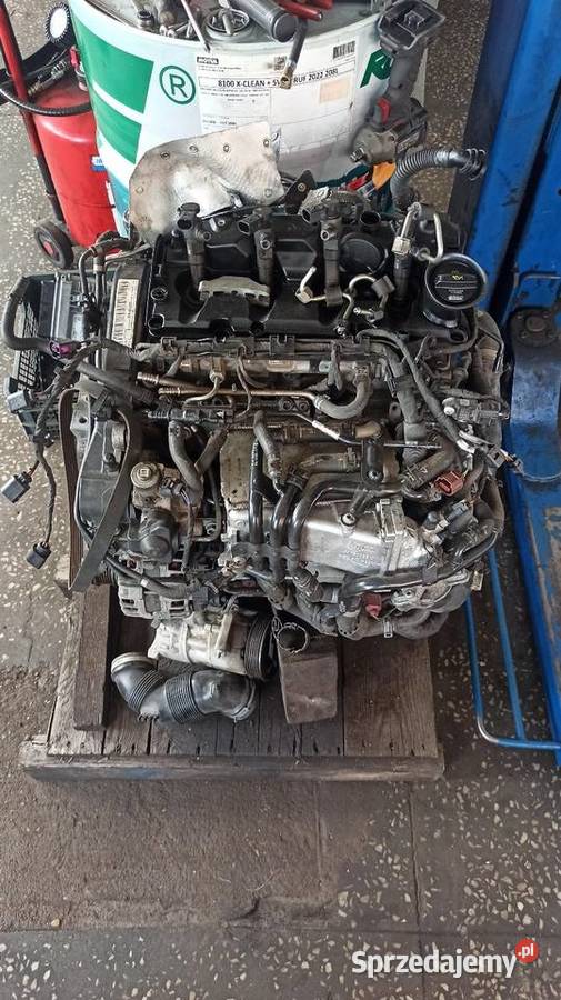Silnik DGT DGTA 16 TDI vw skoda USZKODZONY Rogów