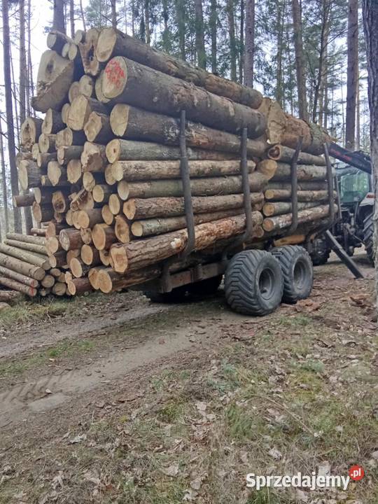 Różne rodzaje drewna opałowegokominkowego Mrągowo sprzedam