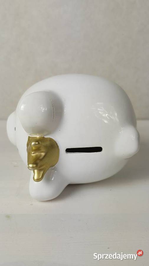 Świnka skarbonka Figurki i rzeźby łódzkie Łódź