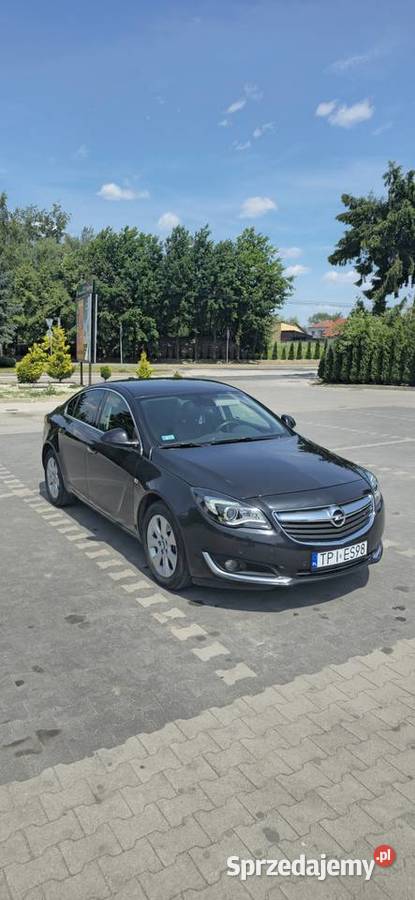Opel Insignia 2015 Dzierążnia