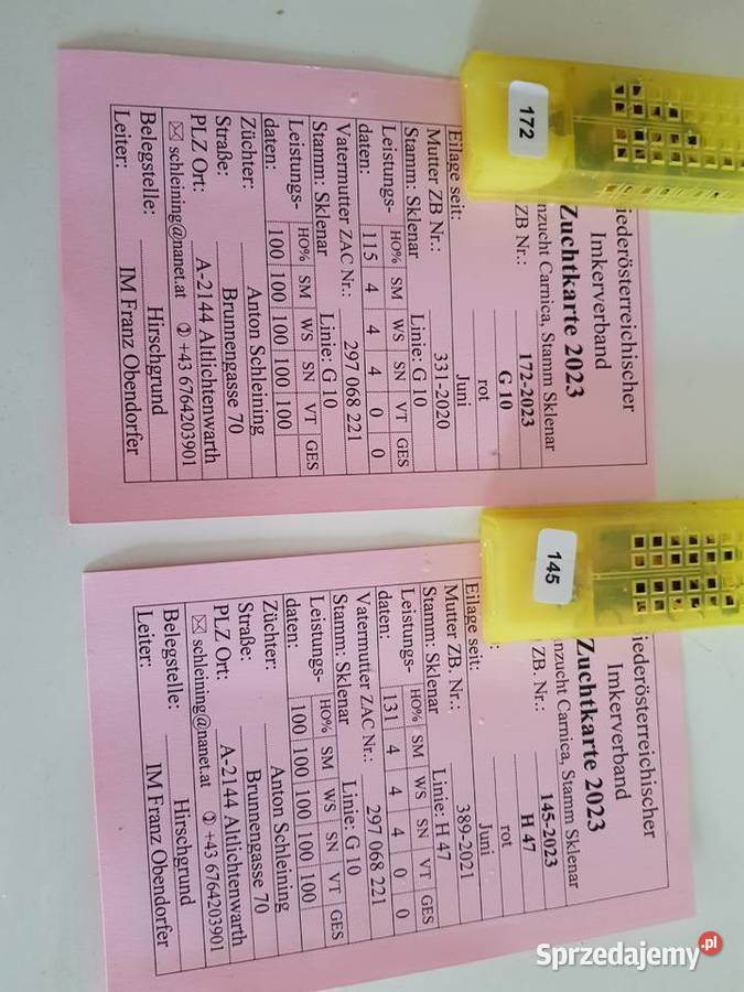 Rodziny i odklady pszczele Sklenar G10 i H47 Sucha Beskidzka