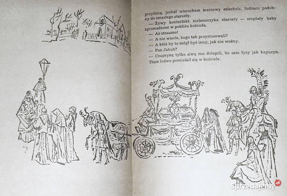 Przypadki starościca Wolskiego Tom 1 Józef Hen Chełm