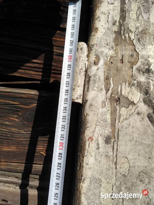 Stare zabytkowe drzwi do renowacji anytykretro Dąbrowa Górnicza sprzedam