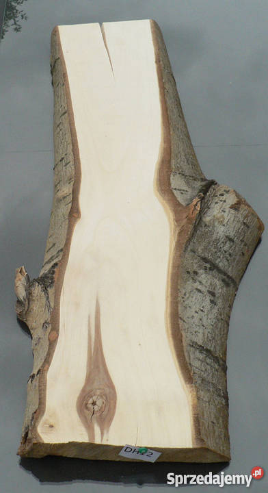 80 x 25 Lita deska rustykalna z korą
