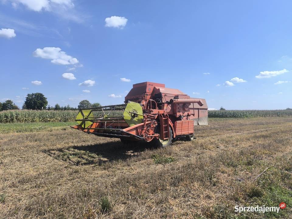 Dronningborg d1650 Rawa Mazowiecka sprzedam