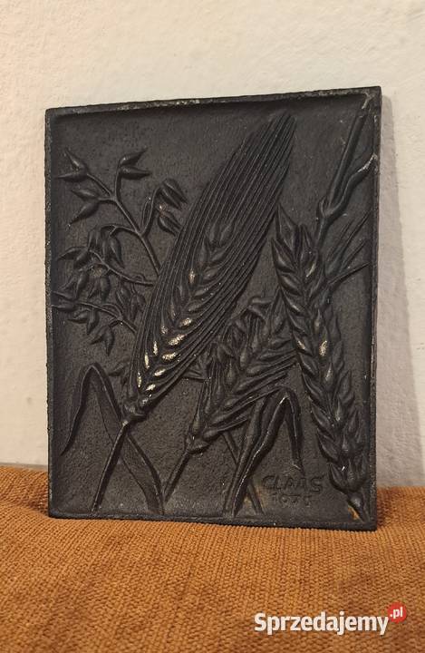 płytki żeliwne do powieszenia na ścianie 5 sztuk Warszawa