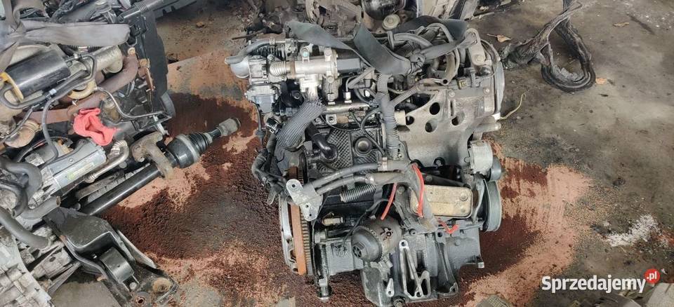 SILNIK MOTOR Z19DT OPEL VECTRA ZAFIRA 19 CDTI osobowe Rudziniec sprzedam
