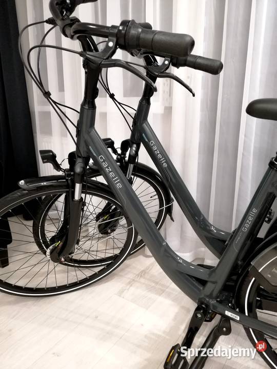 Gazelle Orange C7 2025