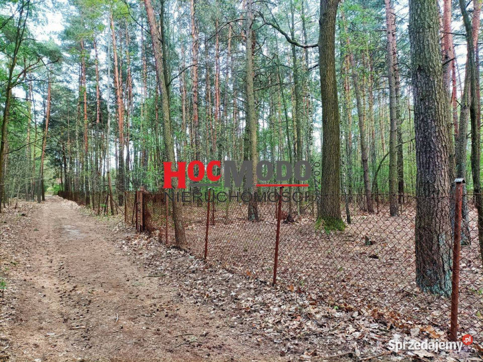Działka budowlana wśród lasów w Karolinie mazowieckie Karolino