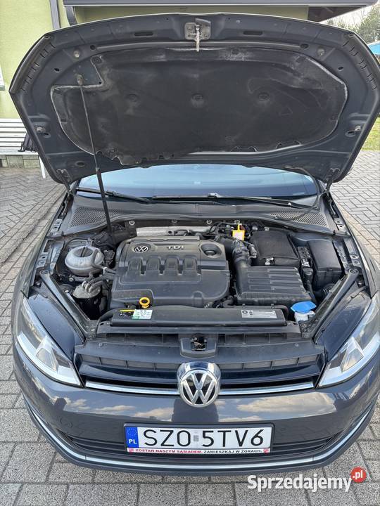 Volkswagen Golf 7 zadbany światła do jazdy dziennej śląskie Żory