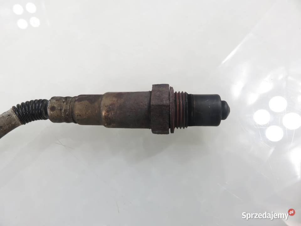 SONDA LAMBDA FORD FOCUS II 16 SHDB 0258006601 sprzedam