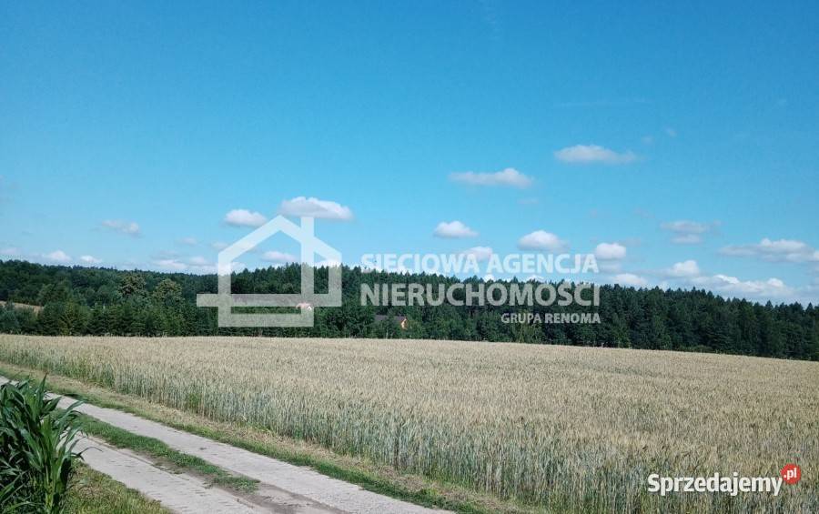 sprzedaży działki 46000m2 Połęczyno sprzedam