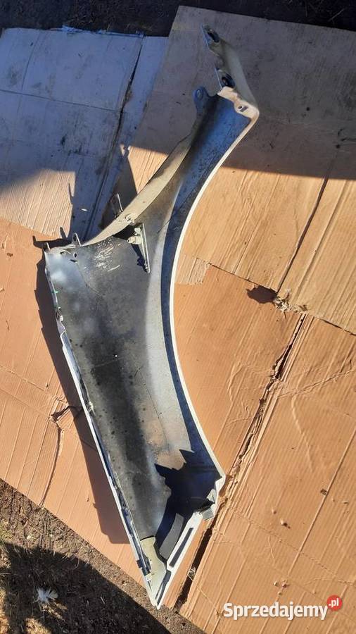 lak DV369 błotnik lewy Renault Megane II 2 BIAŁY Błotniki Dębno