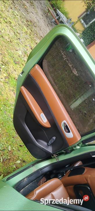 Peugeot 307 wielkopolskie Turek