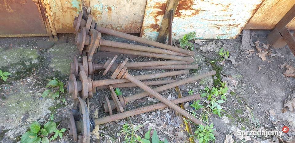 Półosie polonez żuk Pająków