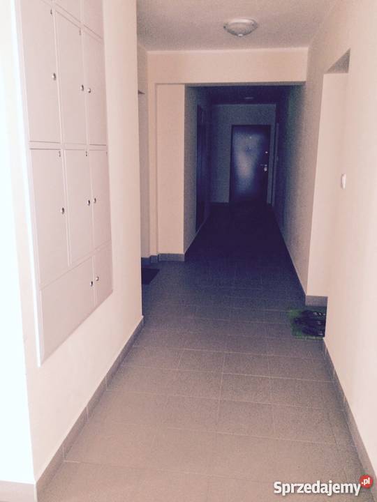 3 pokoje Reduta 34 Prądnik Czerwony Kraków