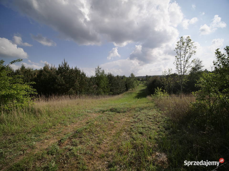 Matyldów jeziorem Zdworskim sprzedam