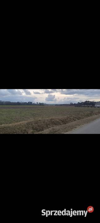 Działka budowlana 15 Kalisza wielkopolskie Kalisz