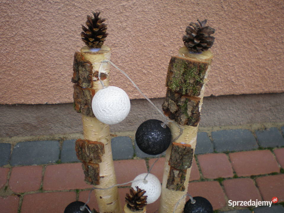 brzoza kule ledozdoba dekoracja Siedlce
