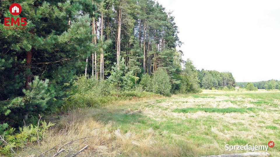 Grunt Zalesiany 10400 metrów