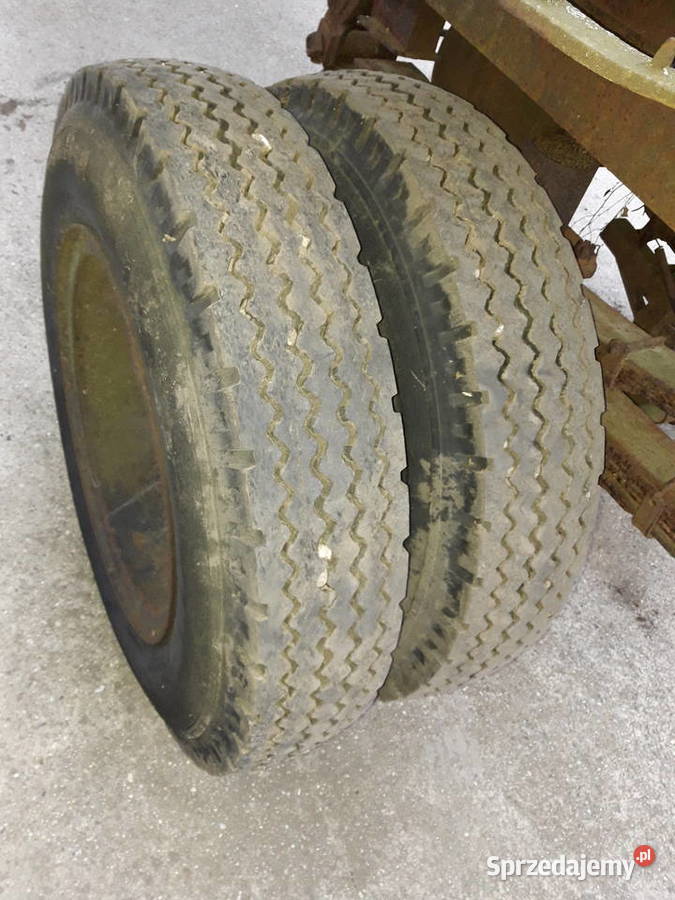 Dłużyca kłonicowa opolskie Kopalina