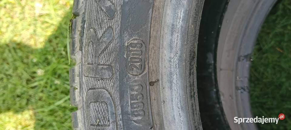 Opony letnie Pirelli Drago 19550 R15 82V Adamówka