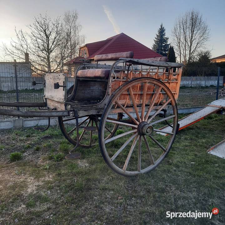 Bryczka konna Sport i Wypoczynek