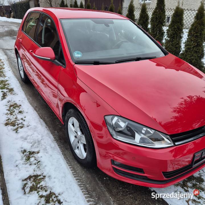 Golf manualna Staniątki