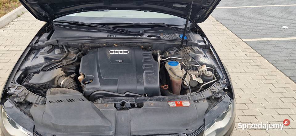 AUDI A4 B8 AVANT Rok produkcji 2008 A4 lubuskie Nowa Sól
