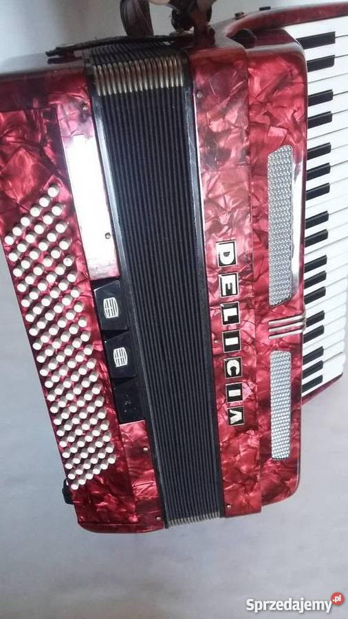 AKORDEON DELICJA 120 Wrocław sprzedam