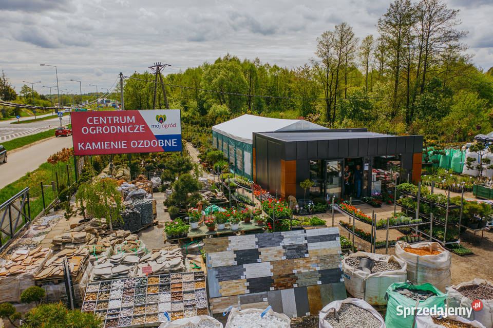 Grys granitowy DALMATINO Promocja kamień Kielce