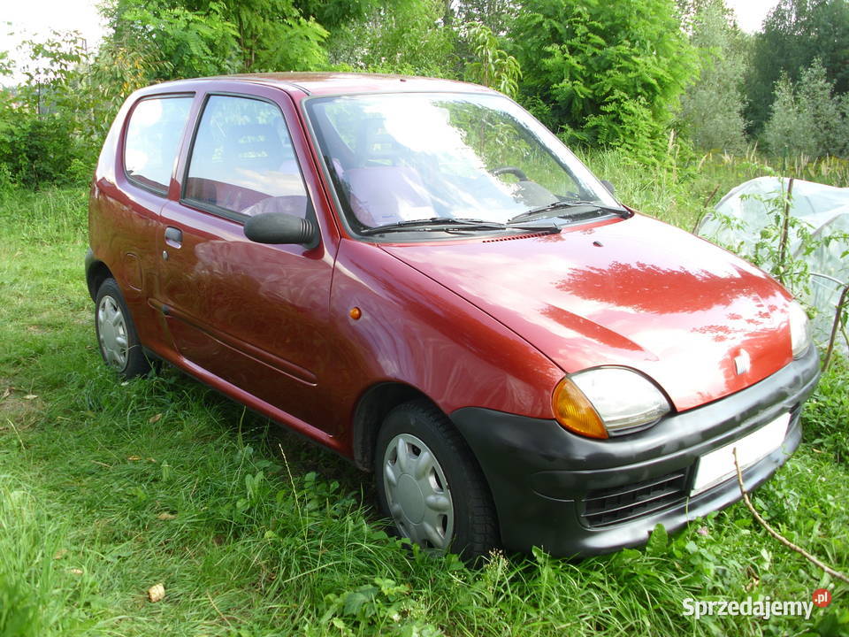 Seicento Young