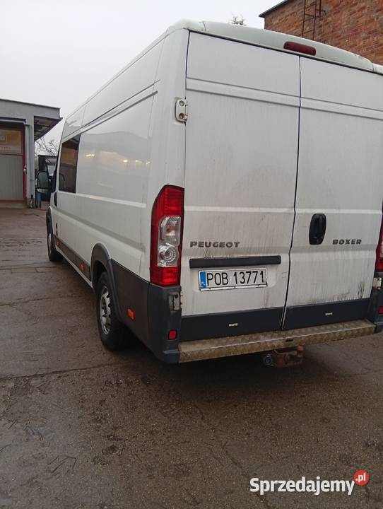 Boxer brygadowy 7 osób Oborniki