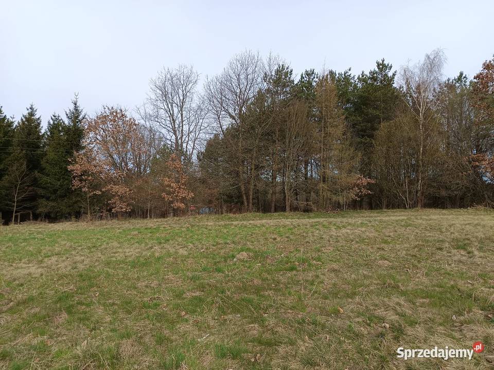 Działka rolna Przeradz gmina Grzmiąca rolna Sprzedaż zachodniopomorskie