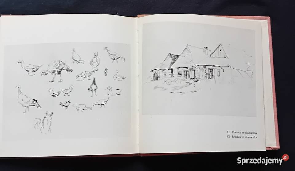 Janusz Derwojed Józef Brandt Arkady 1969 r wielkopolskie sprzedam