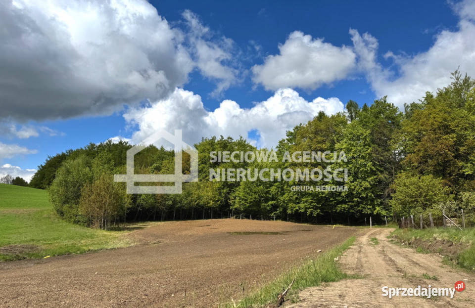 Działka do sprzedania Kosy 2000 metrów Kartuzy