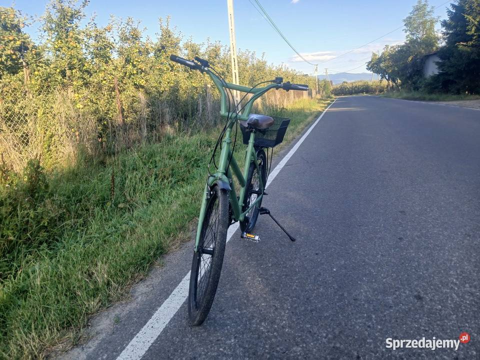 Rower górski damka koła 26 Czarny Potok